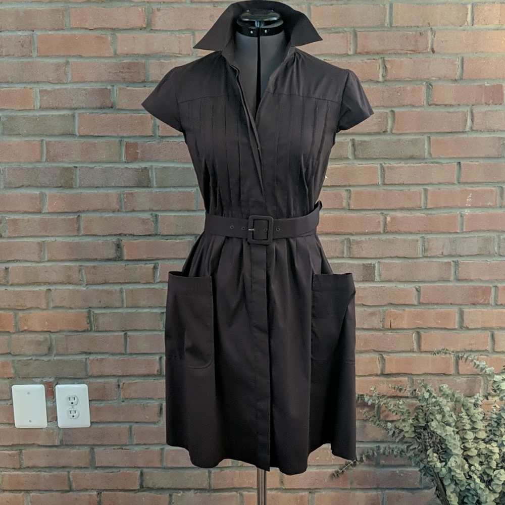 Theory Brown Pleated, Belted Shirt Dress 8